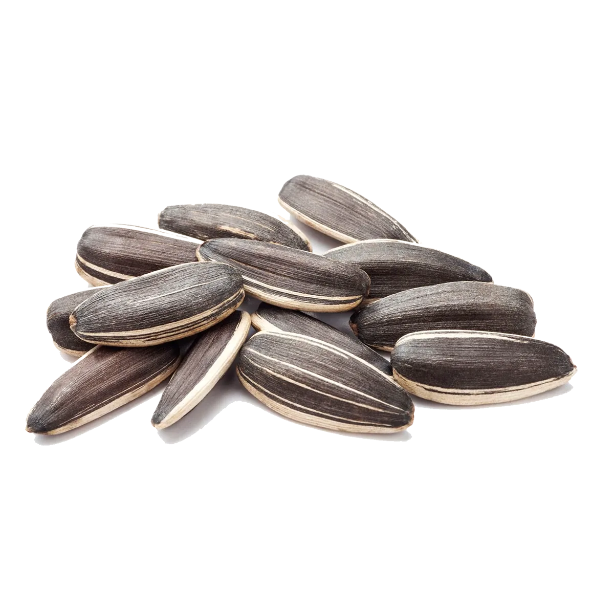 Seeds